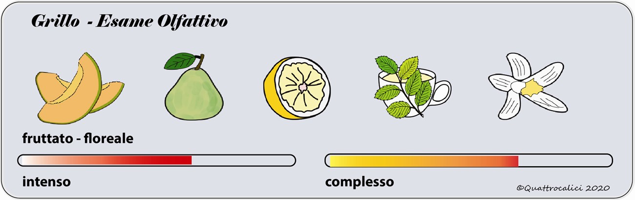 degustazione grillo olfattivo