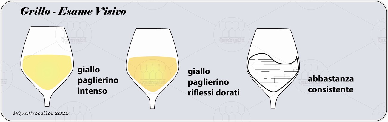 degustazione grillo visivo