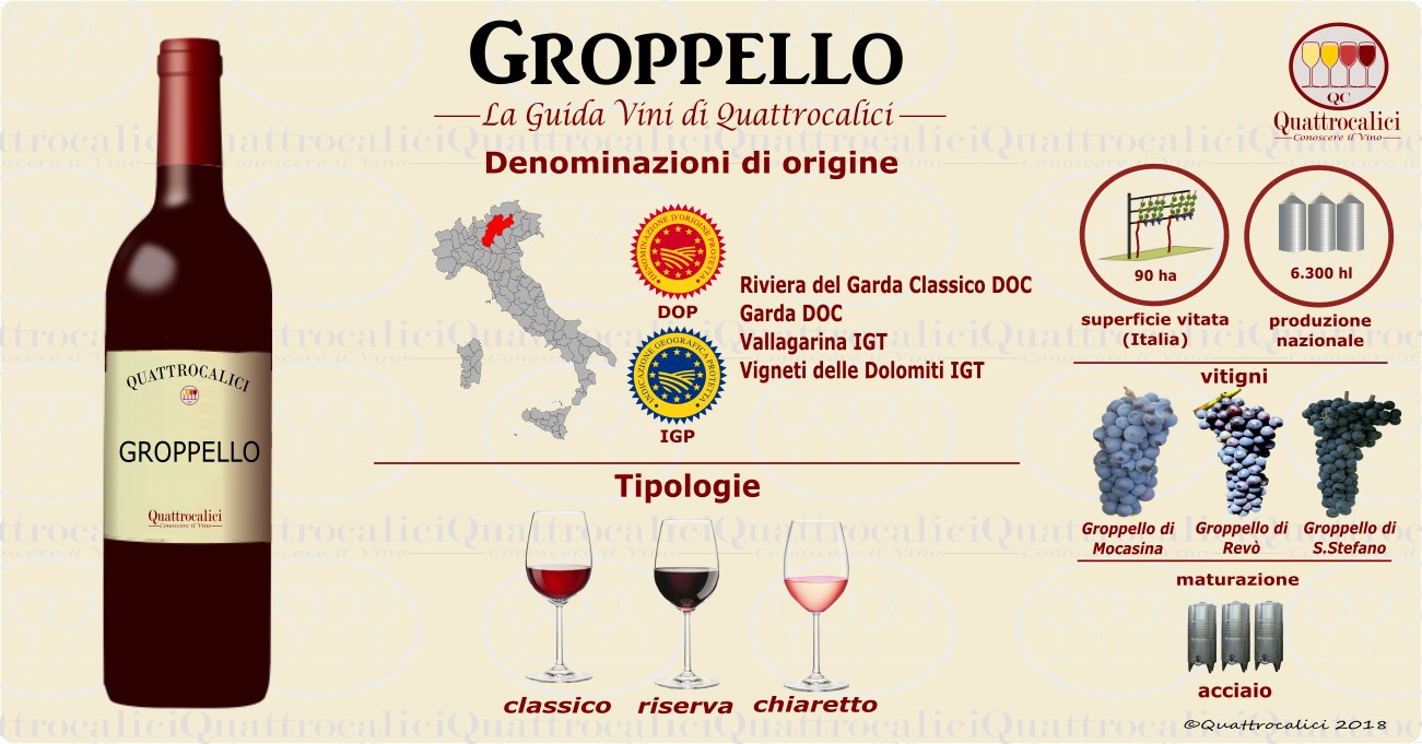 groppello-vino