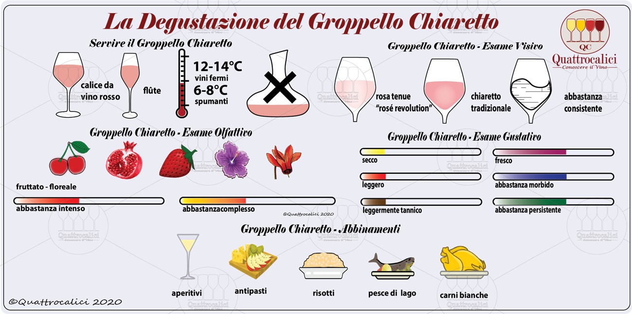groppello chiaretto degustazione