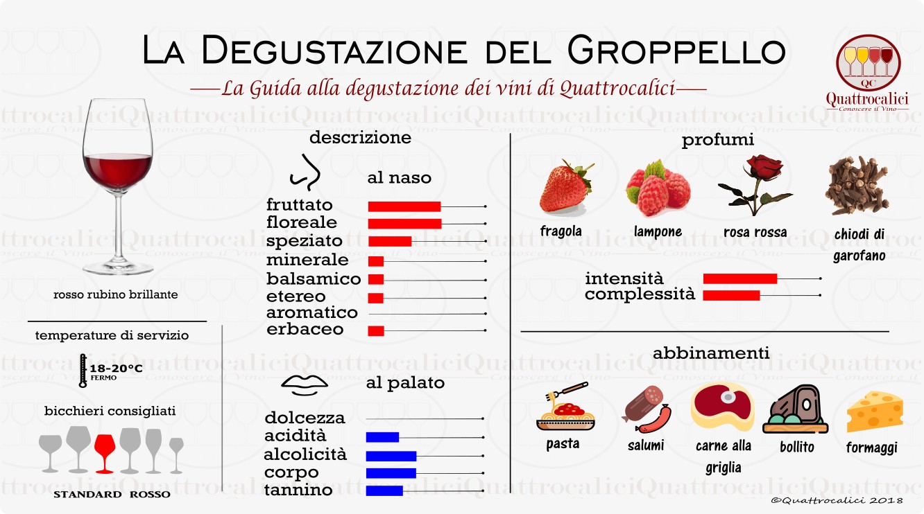groppello degustazione vino
