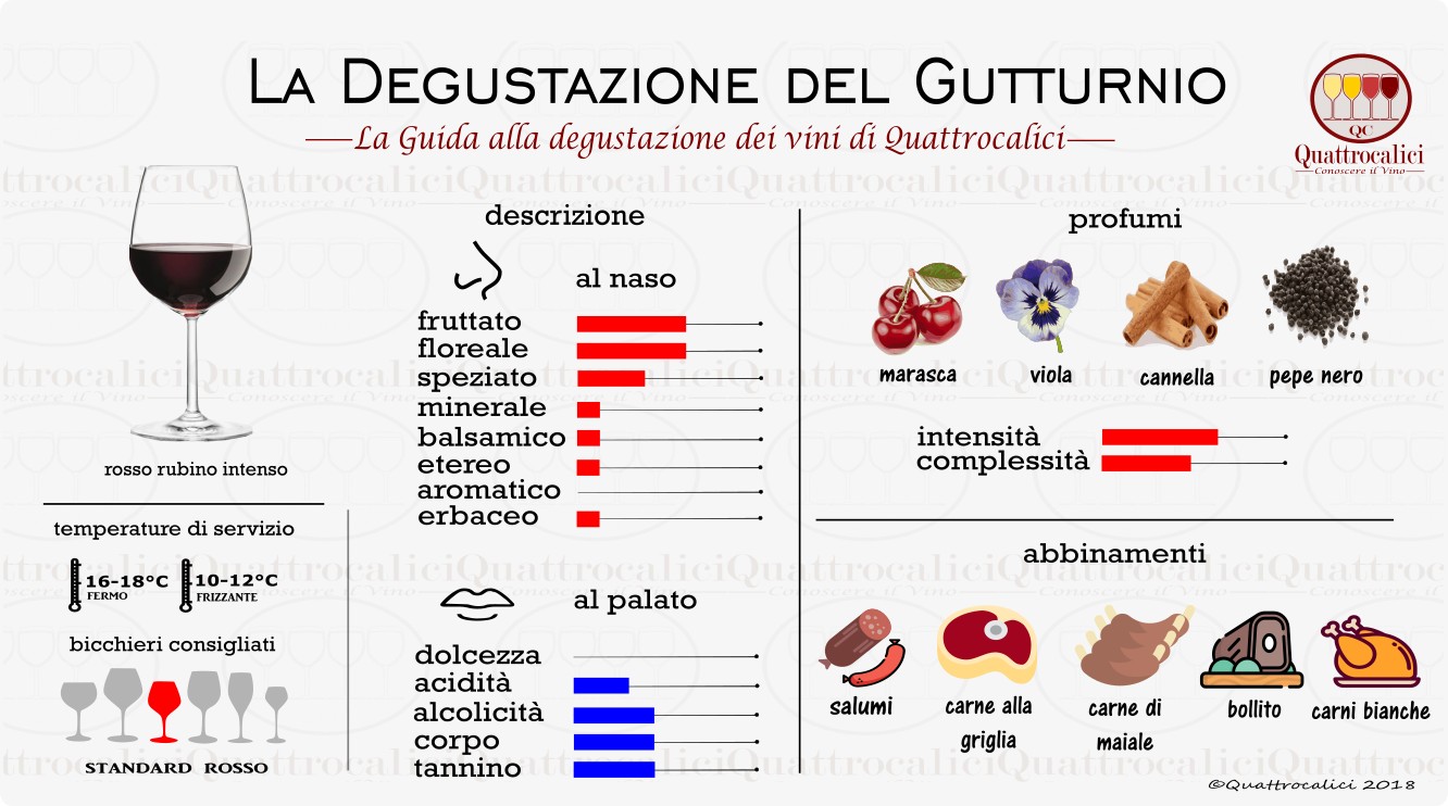 gutturnio degustazione vini