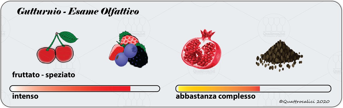 degustazione gutturnio olfattivo