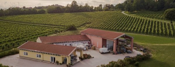 iomazzucato_azienda