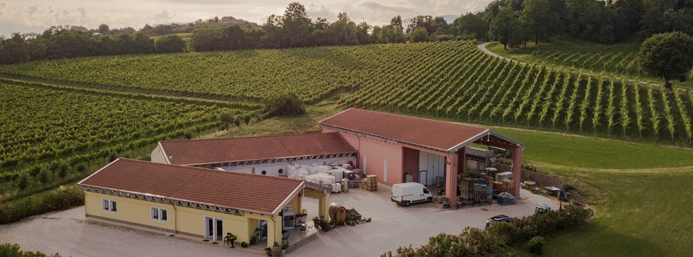 iomazzucato_azienda