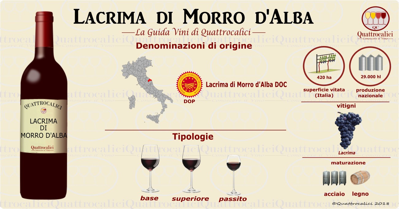 lacrima di morro d'alba vini