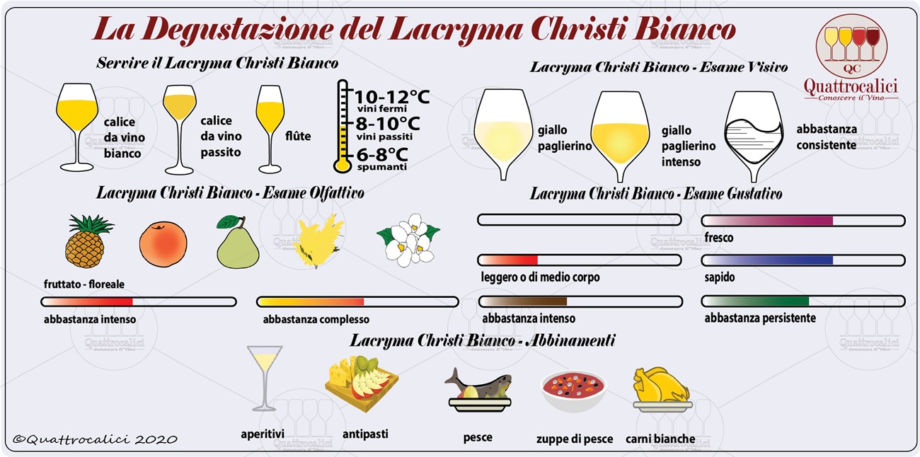 lacryma christi bianco degustazione
