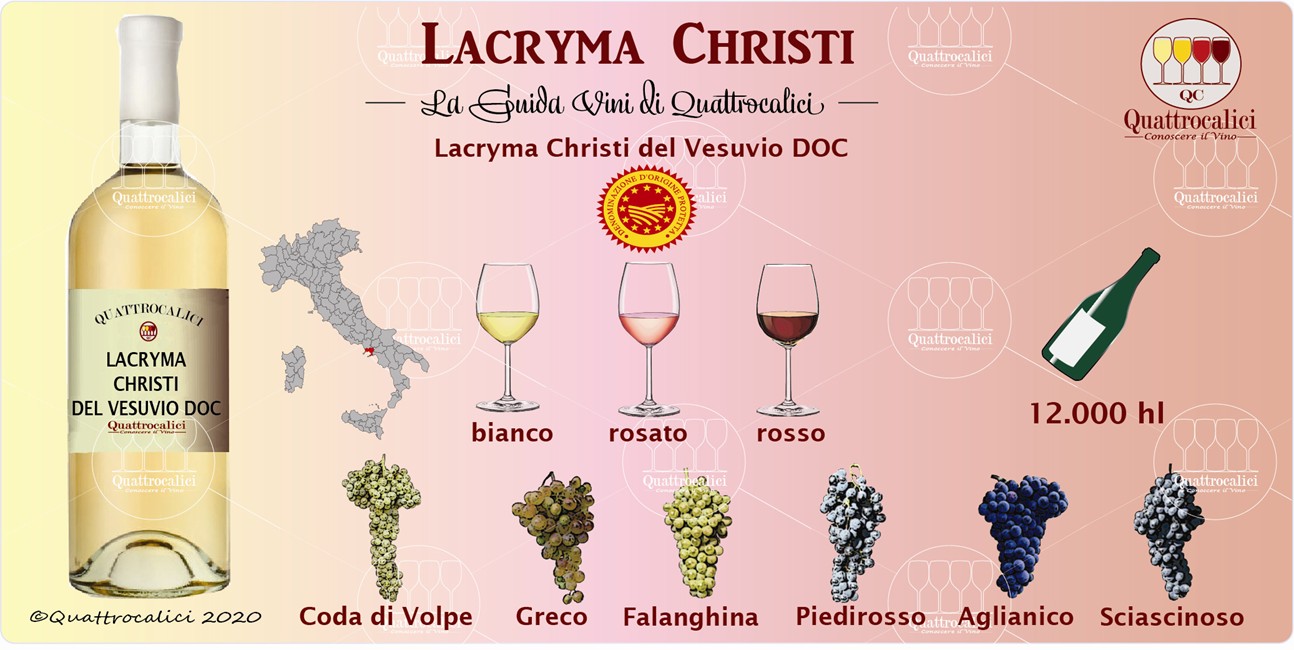 lacryma christi guida vini