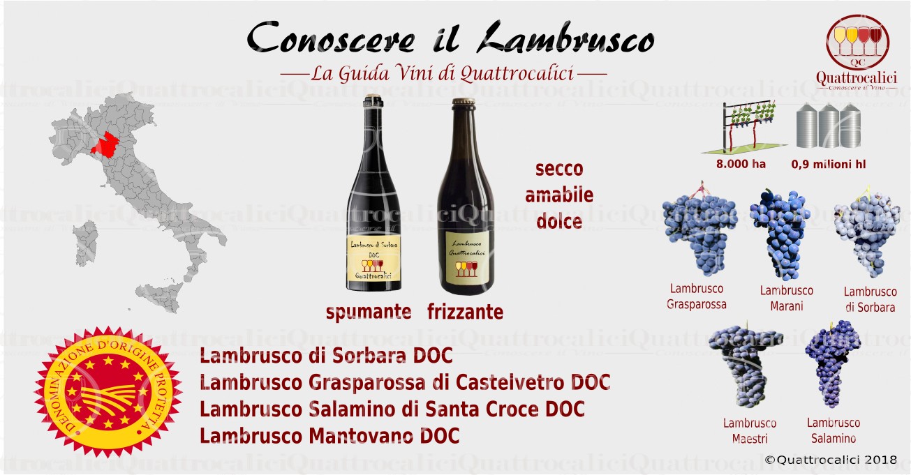 Conoscere il Lambrusco