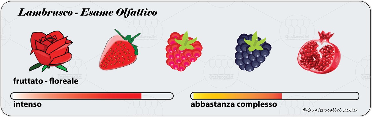 degustazione lambrusco olfattivo