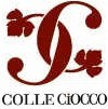 logo_colle_ciocco_2