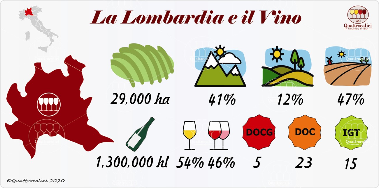 il vino e i vini in lombardia