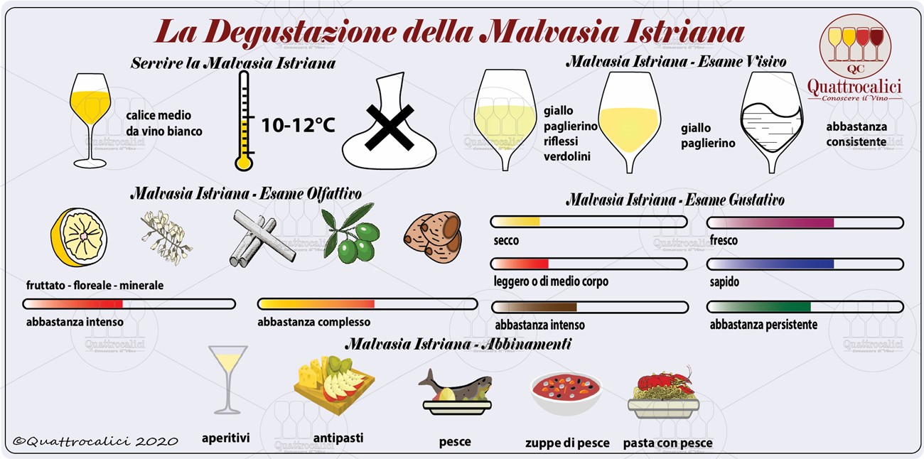malvasia istriana degustazione