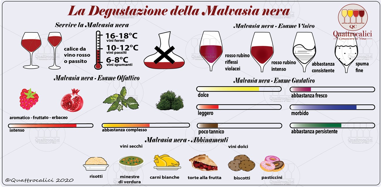 malvasia nera degustazione