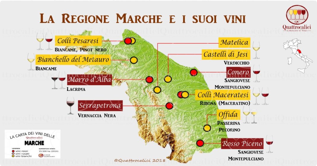 Marche Quattrocalici La Guida Al Vino E All Enoturismo