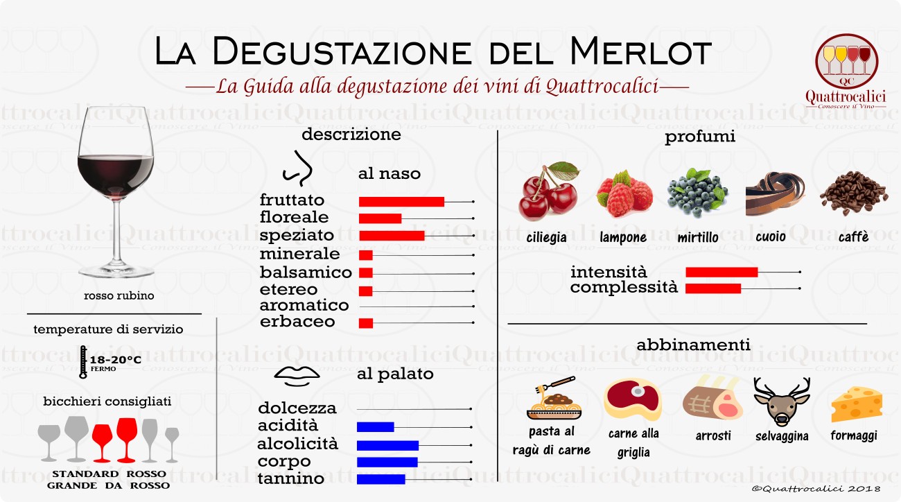 merlot degustazione vino