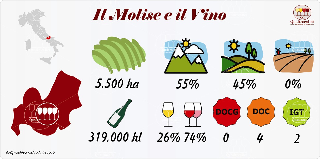 vino e vini in molise