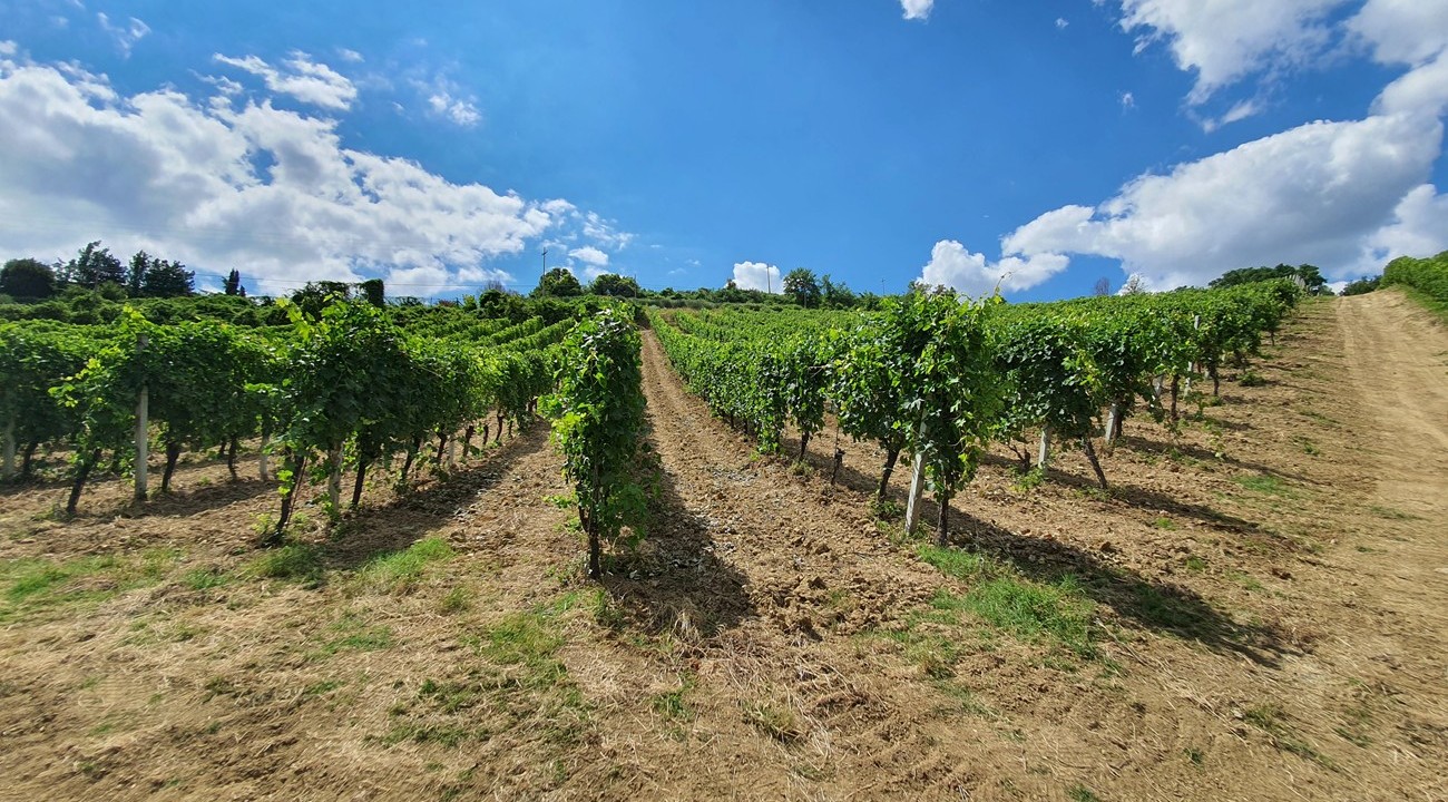 montecappone-1