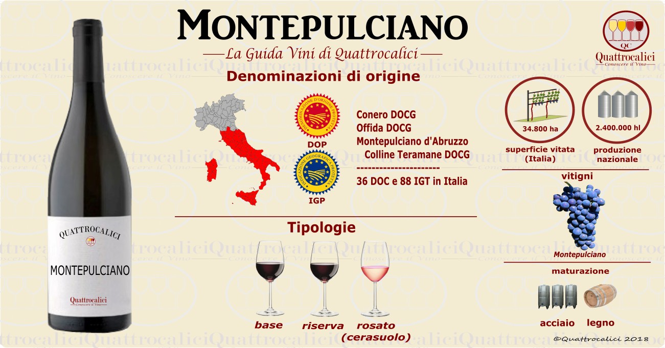 montepulciano vini