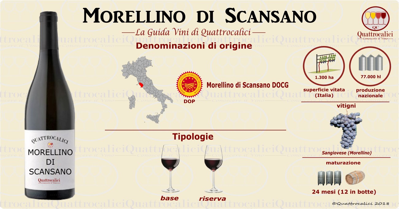 morellino di scansano vini