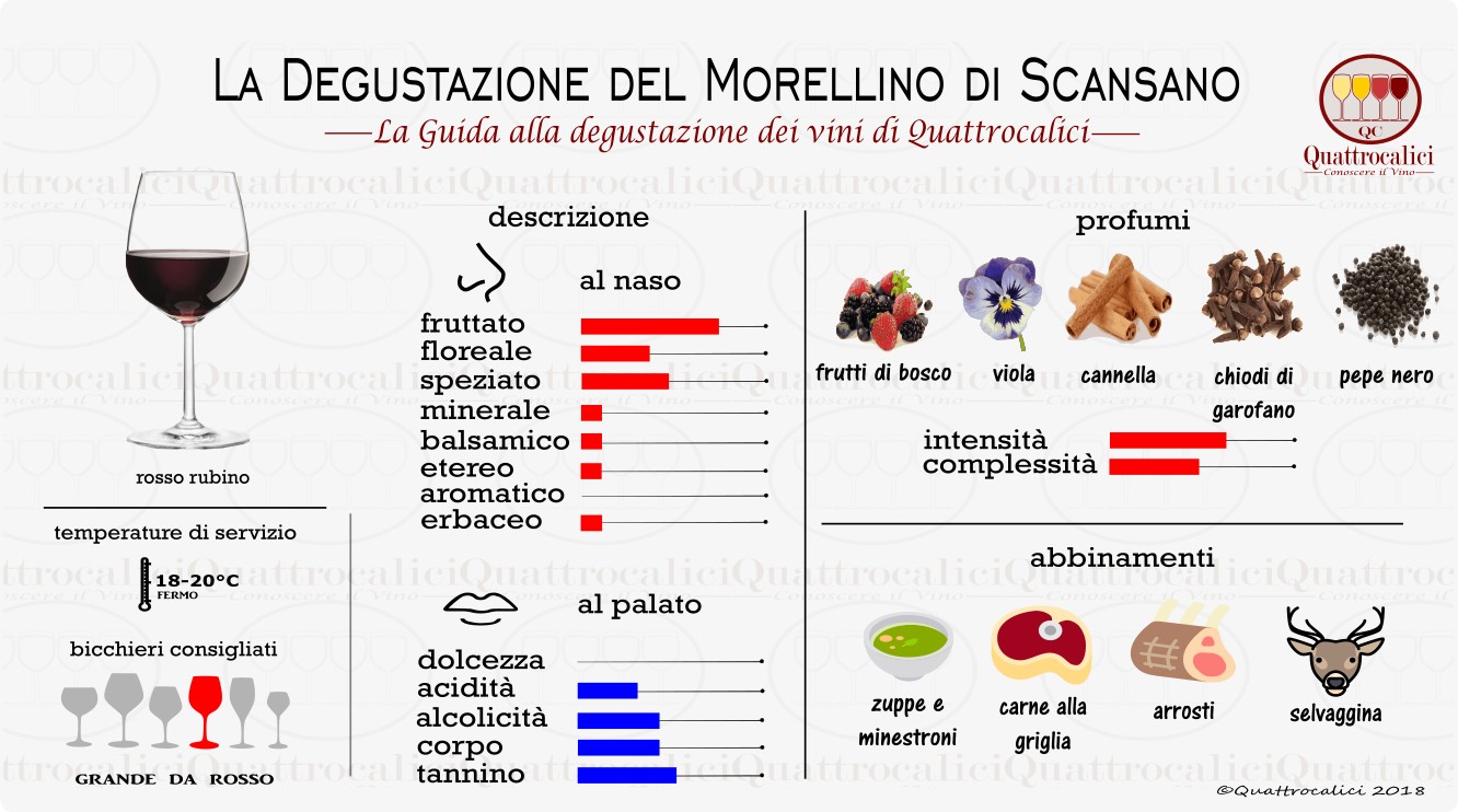 morellino di scansano degustazione vini
