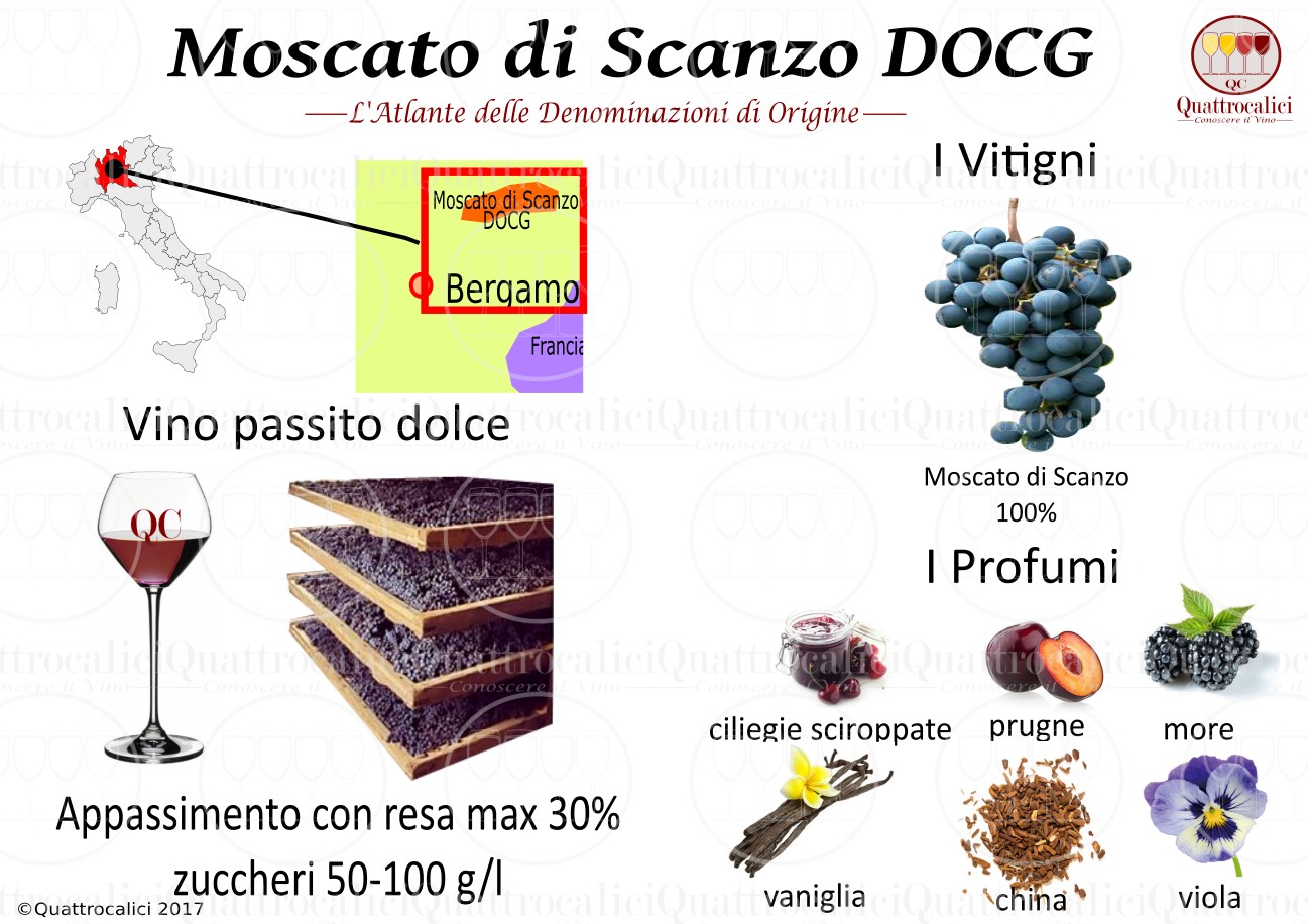 moscato-di-scanzo-docg