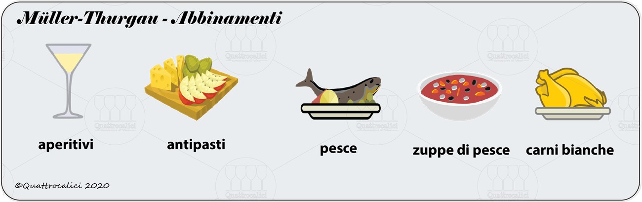 degustazione müller-thurgau abbinamenti