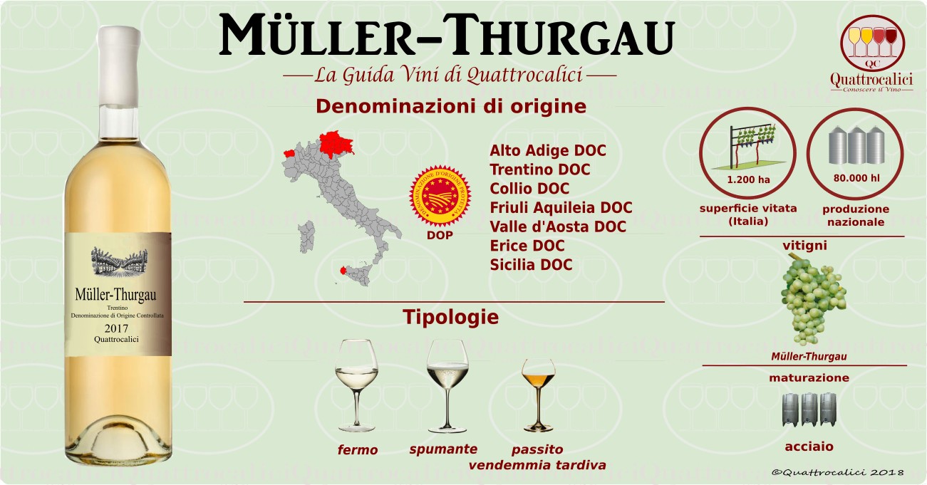 muller-thurgau-vini