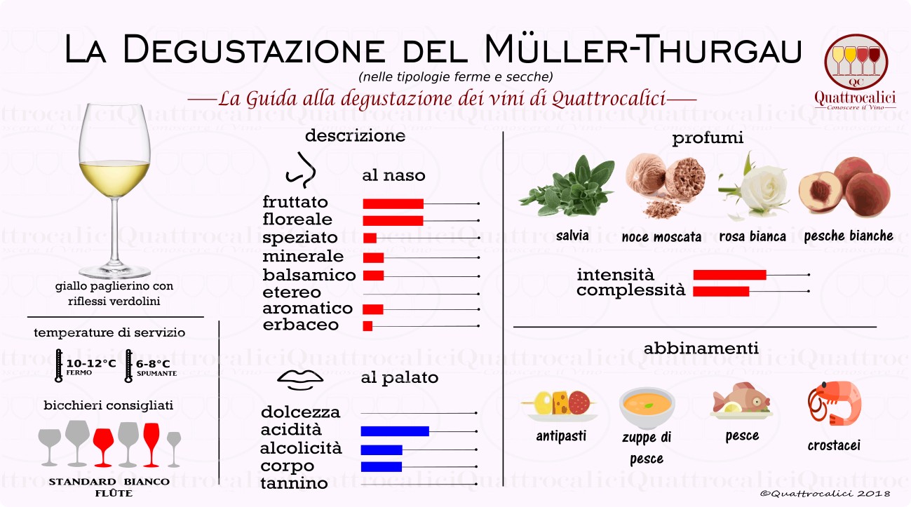 muller-thurgau-degustazione