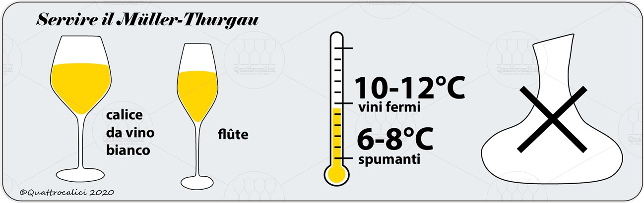 müller-thurgau servizio