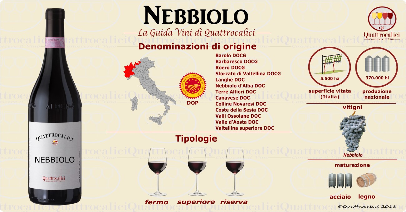 nebbiolo vini