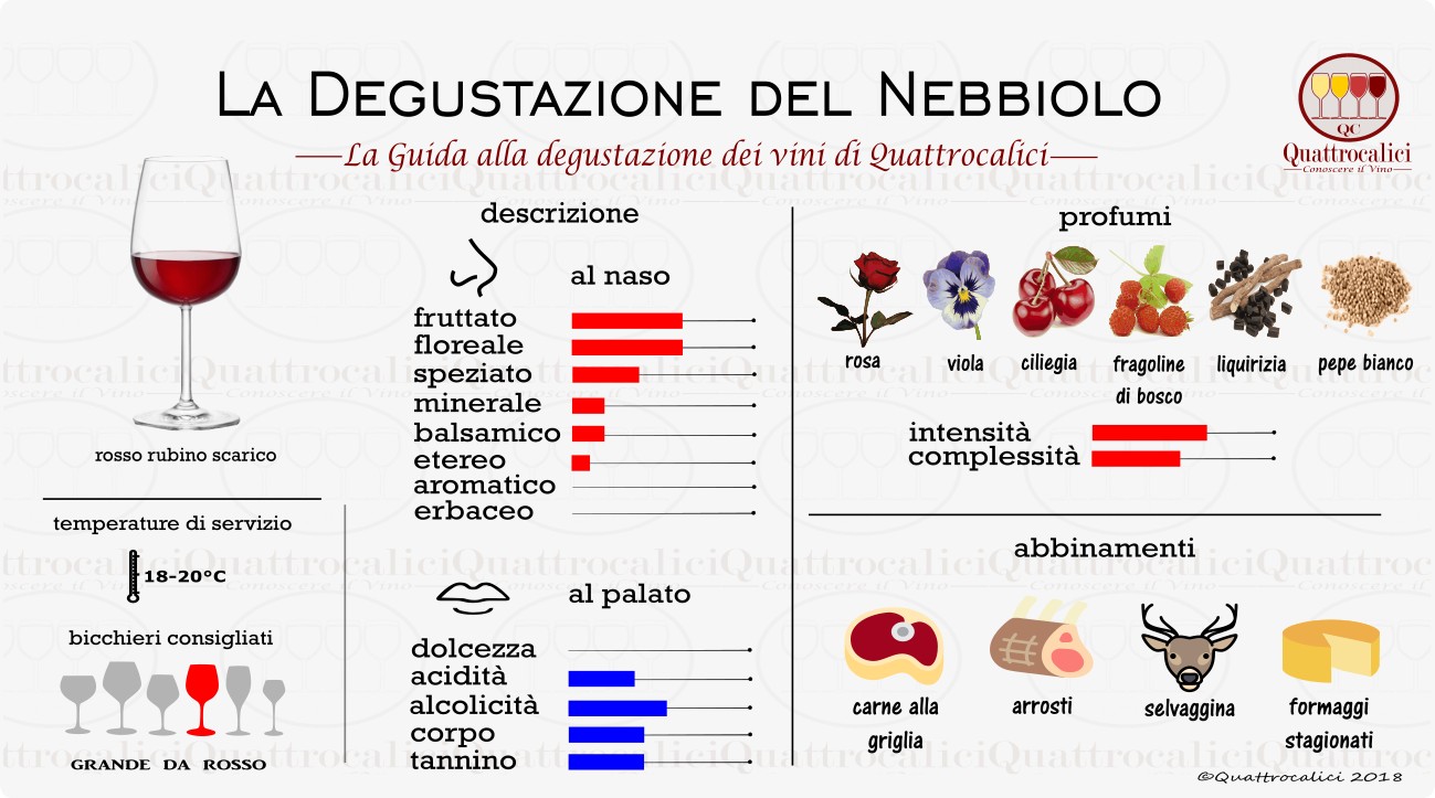 nebbiolo degustazione vini