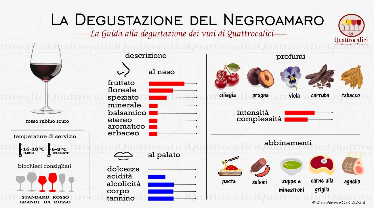 Negroamaro - La Degustazione - Quattrocalici