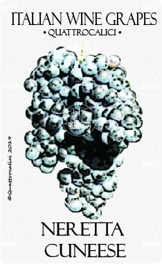 neretta cuneese vitigno