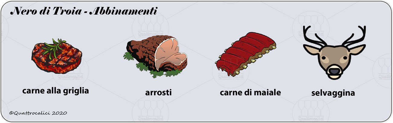 degustazione nero di troia abbinamenti