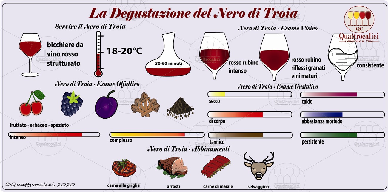 nero-di-troia-degustazione