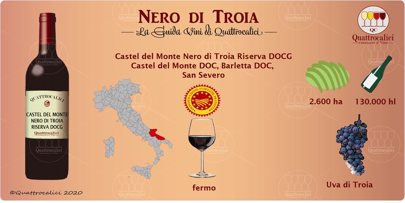 nero di troia guida vini