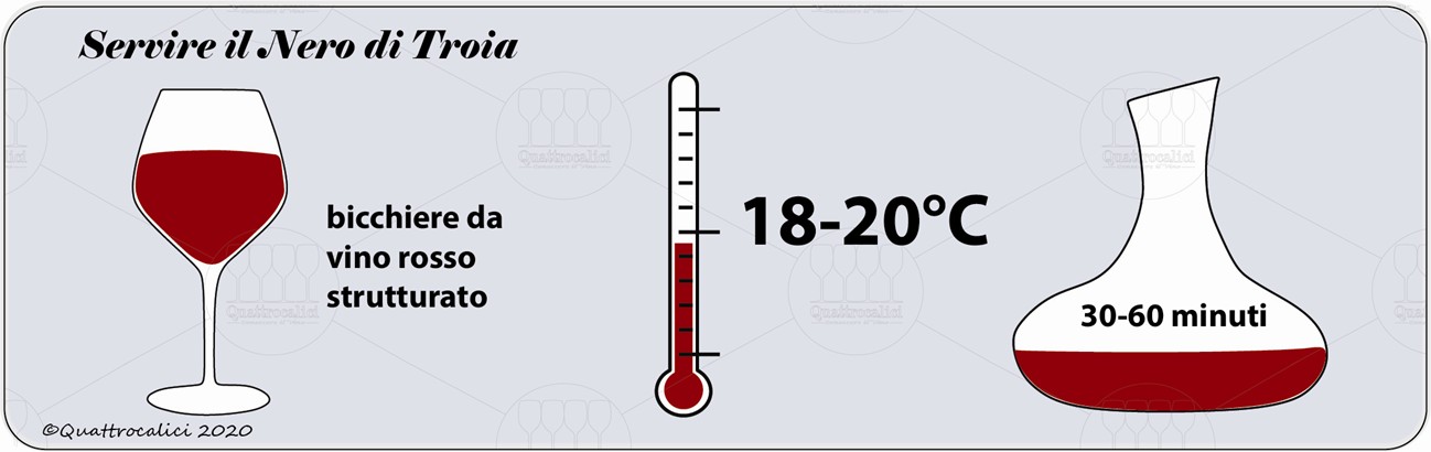 degustazione nero di troia servizio