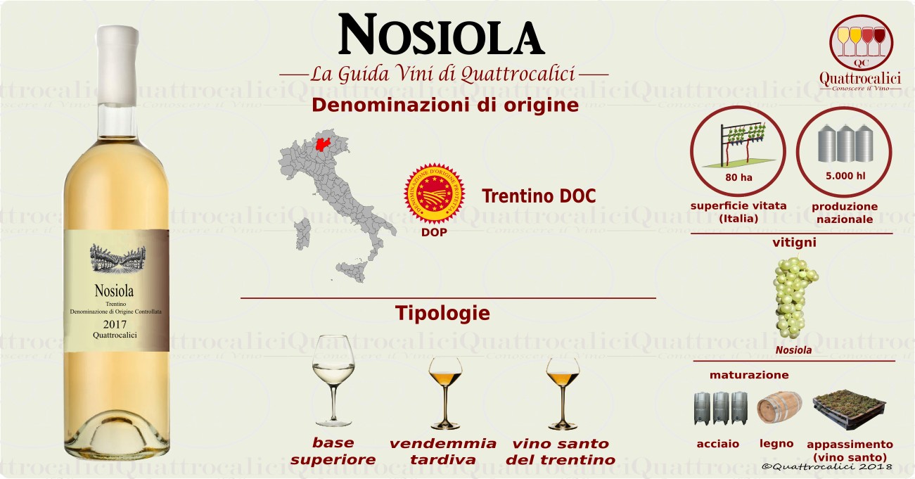 nosiola vini