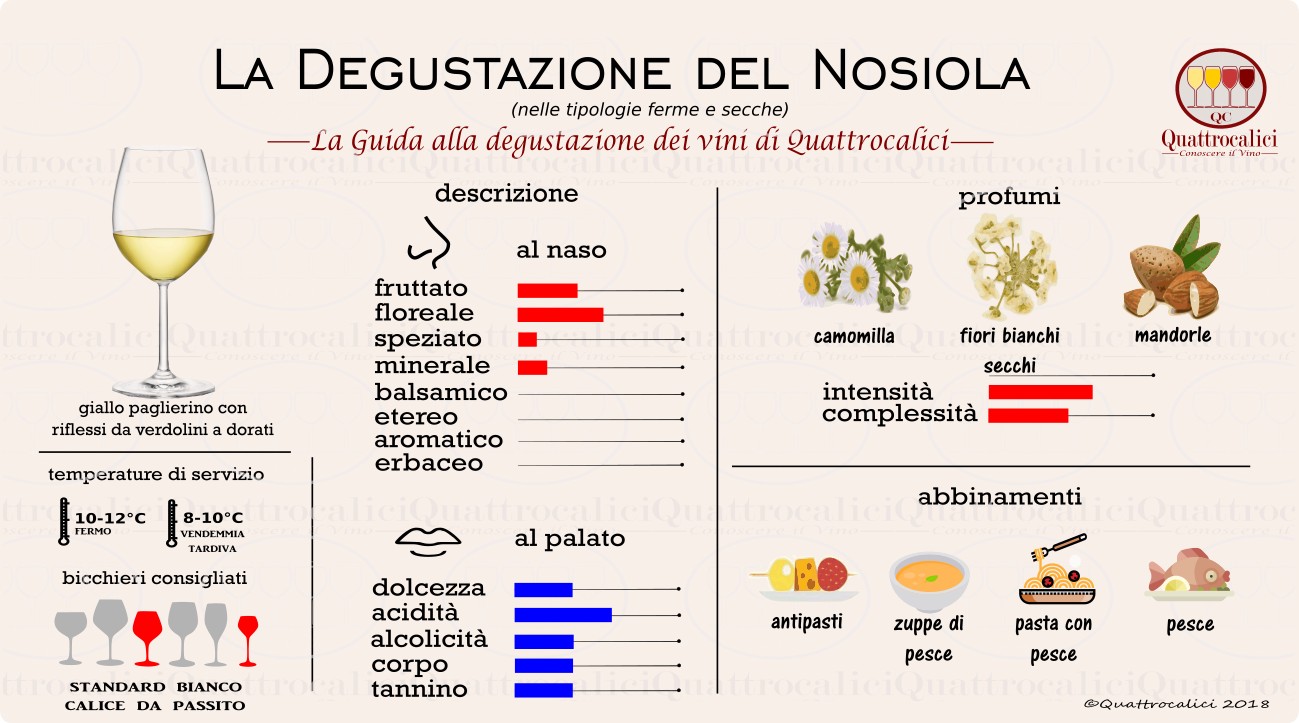nosiola-degustazione