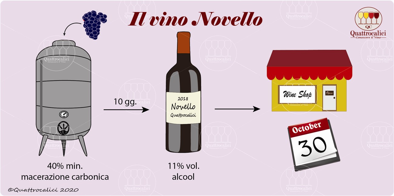 il vino novello
