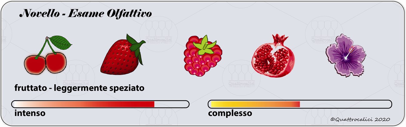 degustazione novello olfattivo