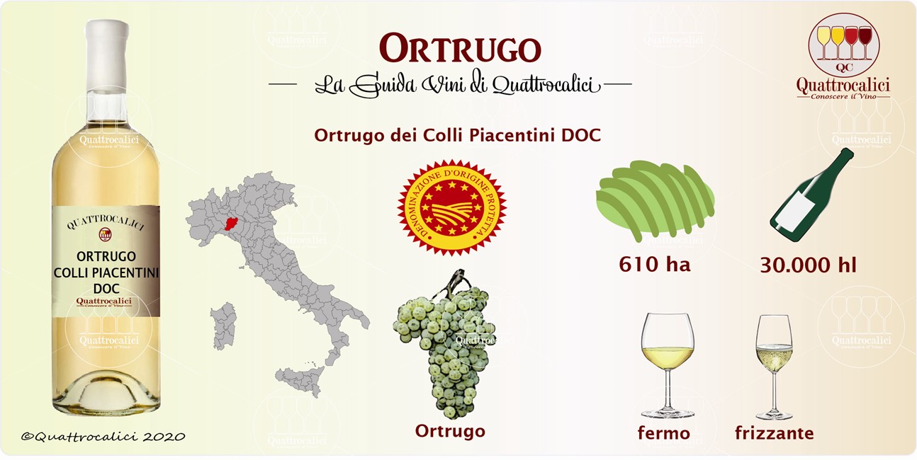 ortrugo guida vini