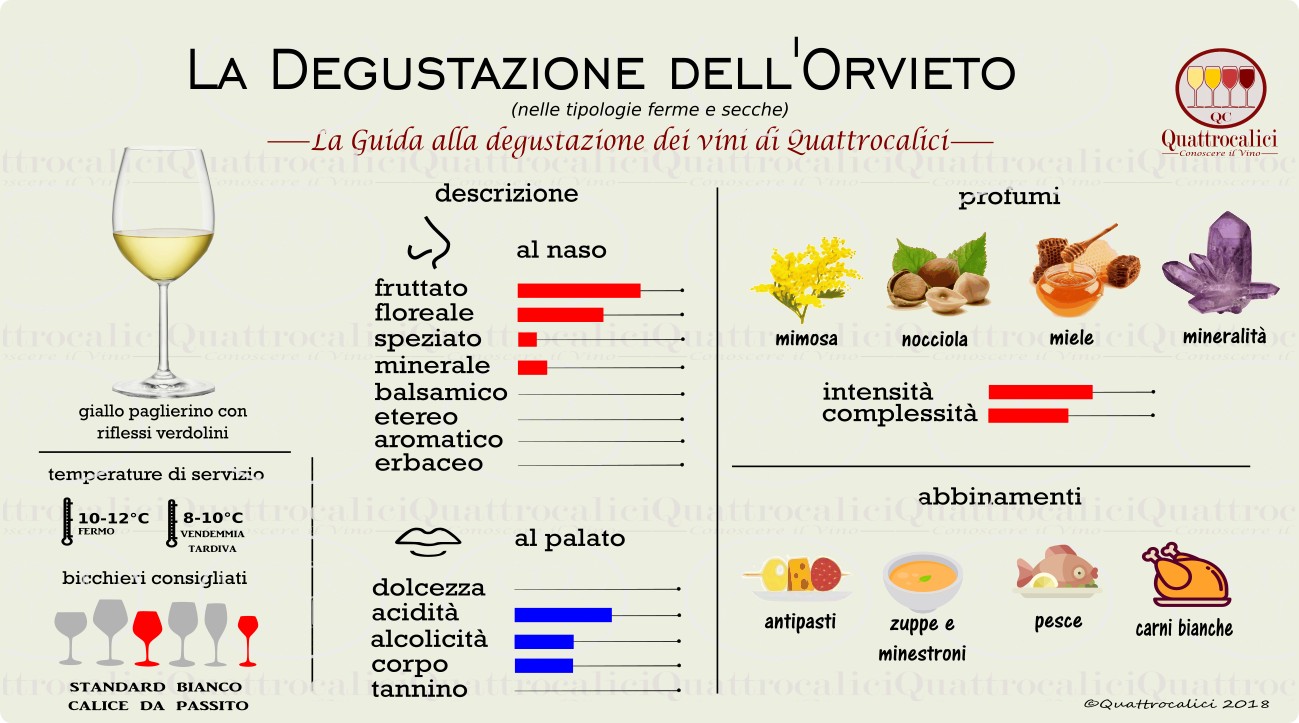 orvieto-degustazione