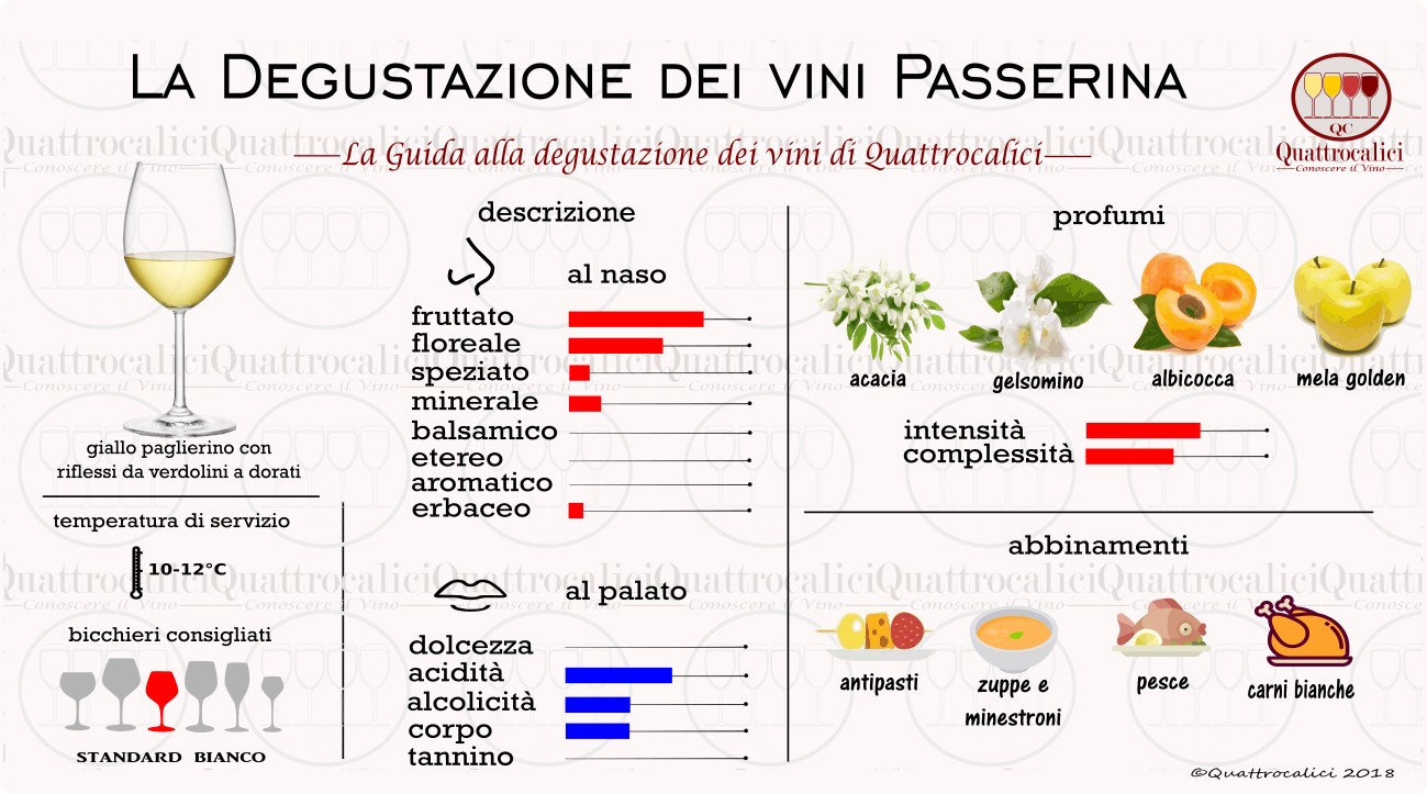 passerina-degustazione-vini