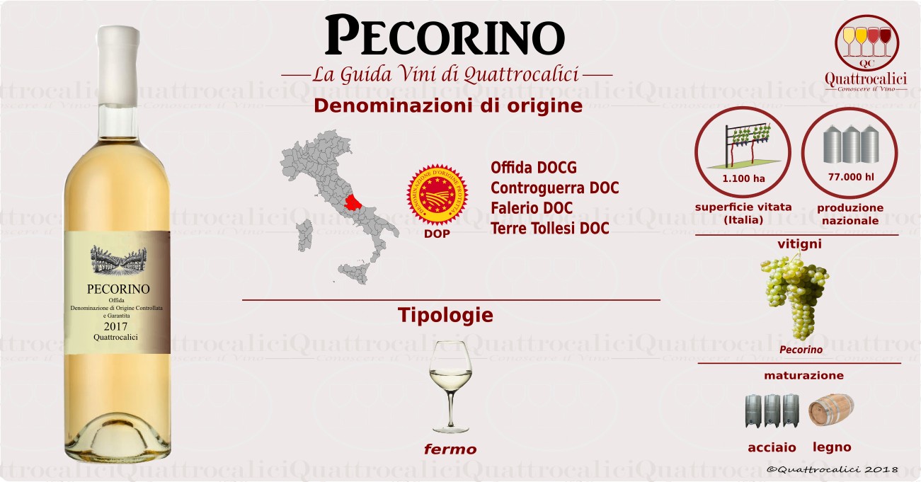 pecorino-vini
