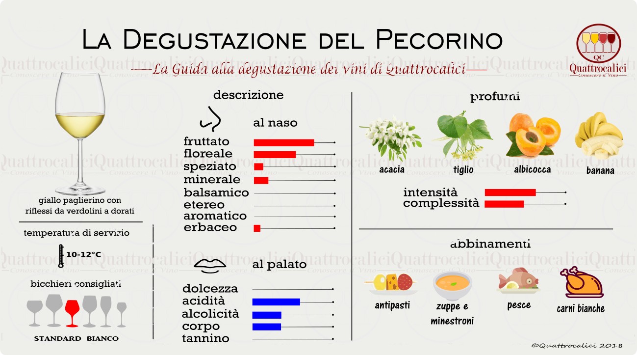 pecorino-degustazione-vino