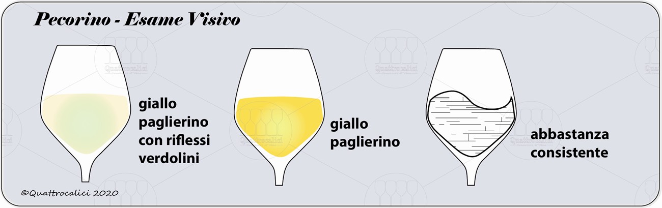 degustazione pecorino visivo