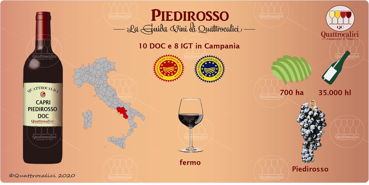 piedirosso guida vini