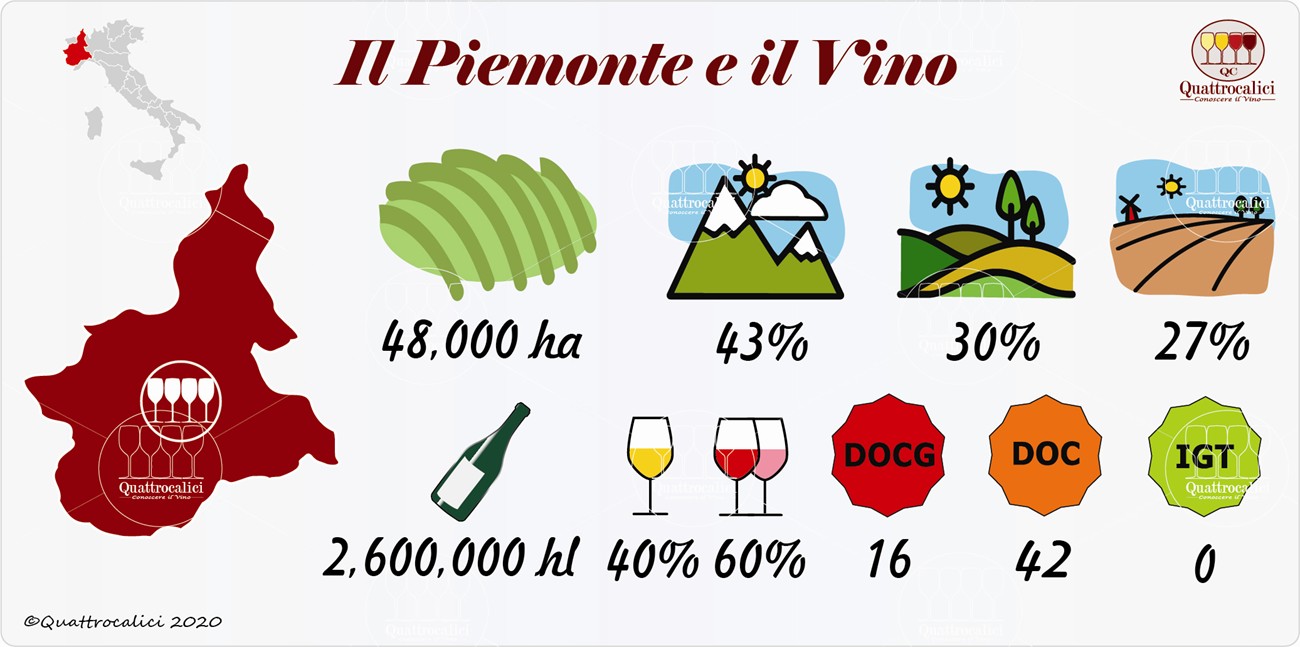 vino e vini del piemonte